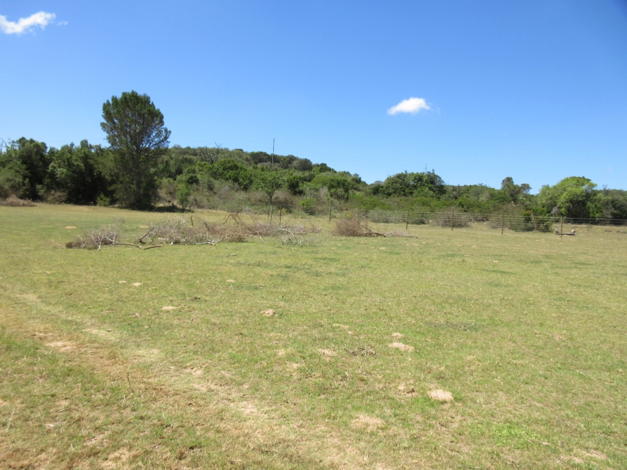 0 Bedroom Property for Sale in Bathurst Eastern Cape